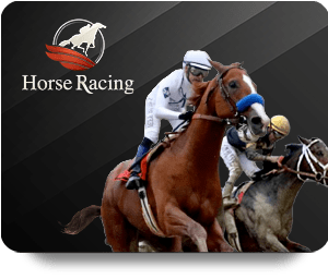 A Complete Guide to Hi88 Casino Royal’s Best Features